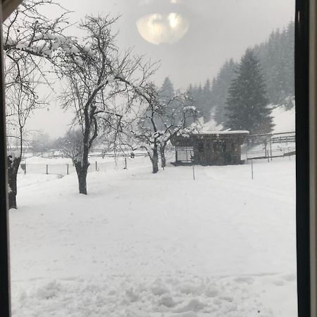 Hotel Shelest Vody Russkaya Mokraya Exterior foto